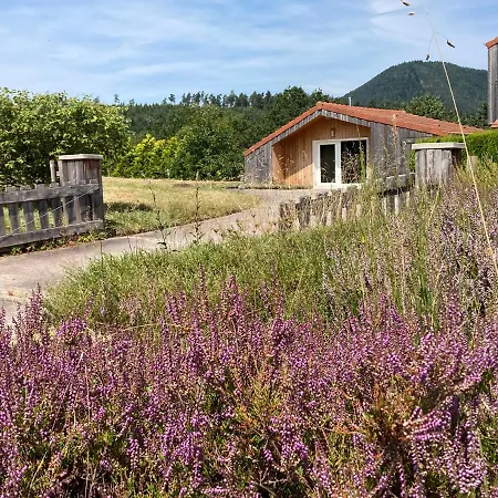 Le Dans La Nature